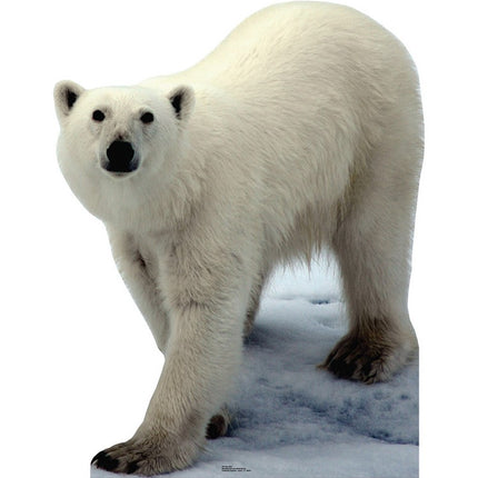 Polar Bear Cardboard Cutout