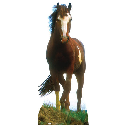Life Size Mustang Horse Standee