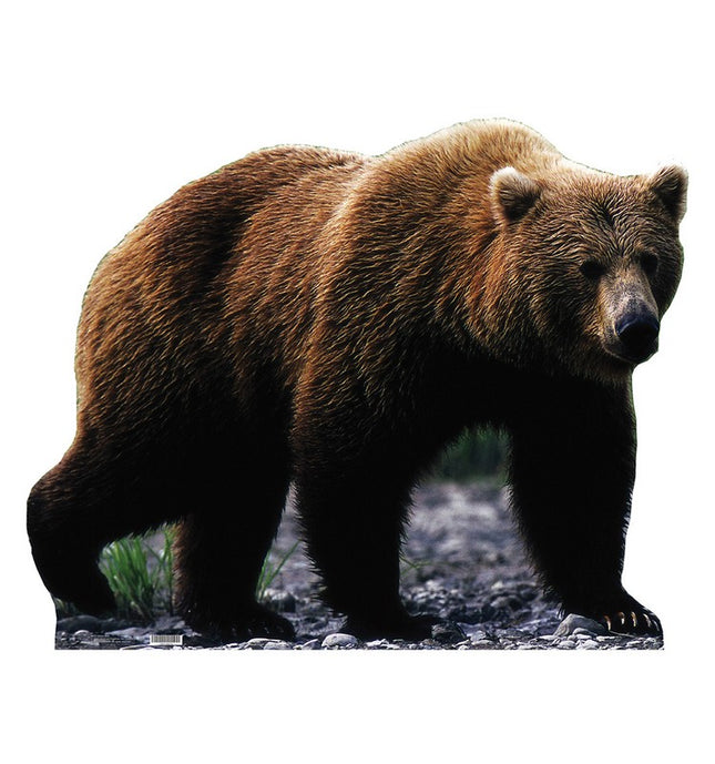 Grizzly Bear Cardboard Cutout