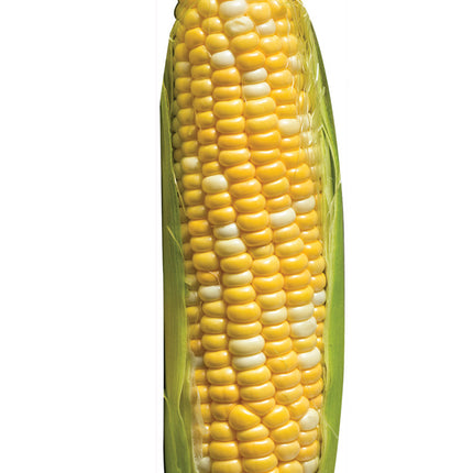 Corn of Cob Cardboard Standee