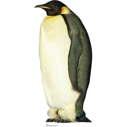 Penguin Cardboard Cutout