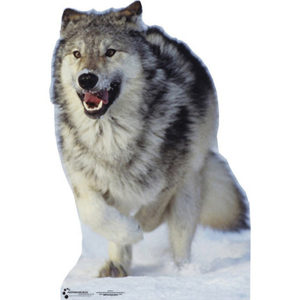 Wolf Cardboard Cutout