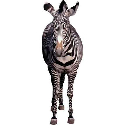 Zebra Cardboard Cutout
