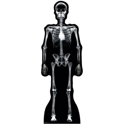 X-Ray Skeleton Cardboard Cutout