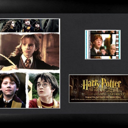 Harry Potter and the Chamber of Secrets Character Collage Minicell FilmCells Framed Desktop Presentation