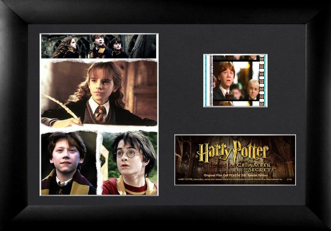 Harry Potter and the Chamber of Secrets Character Collage Minicell FilmCells Framed Desktop Presentation