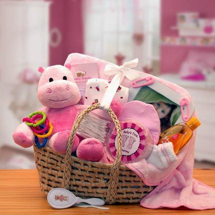 Our Precious Pink Baby Carrier