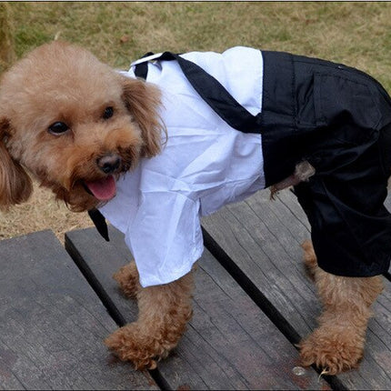 Handsome Stylish Pet Suit with Bow Tie