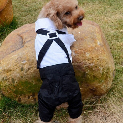 Handsome Stylish Pet Suit with Bow Tie