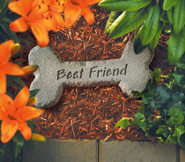Best Friend Dog Bone Stone