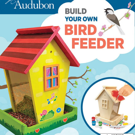Audubon Birdfeeder Wood Paint Kit