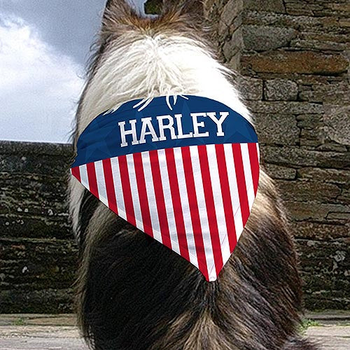 Personalized American Flag Dog Bandana