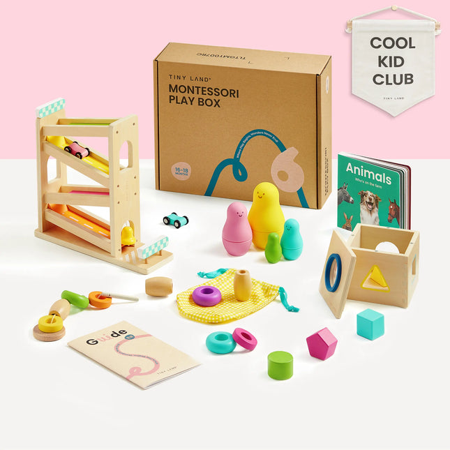 Tiny Land Montessori Educational Toys - 16 - 18 Months