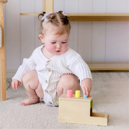 Tiny Land Montessori Toys for Infants (10-12 Months)