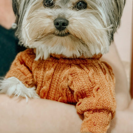 Winter Warm Knitted Turtleneck Sweater for Small Dogs or Cats