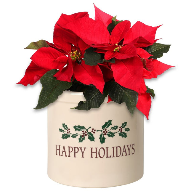 Happy Holidays Holly 2 Gallon Stoneware Crock