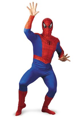 Adult Spiderman Costume