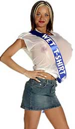Adult Wet T-shirt Winner Costume