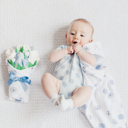 BBco. Cub Baby Boy Gift Set
