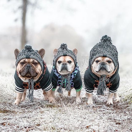Autumn Winter Warm Knitted Pet Hats With Fluffy Ball
