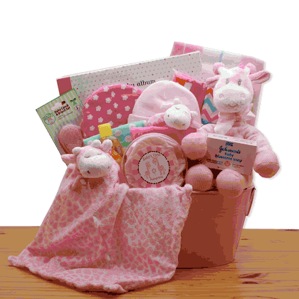Comfy & Cozy Safari Friends New Baby Blue Gift Basket