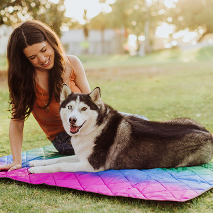 Vista Outdoor Picnic Blanket & Tote
