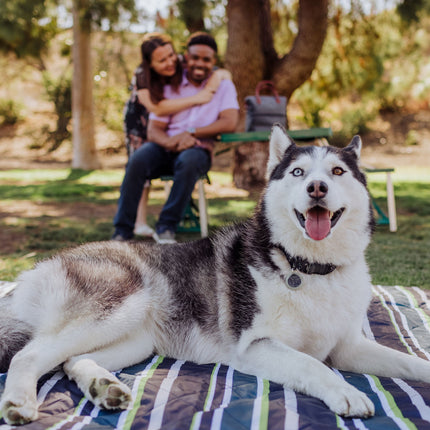 Vista Outdoor Picnic Blanket & Tote