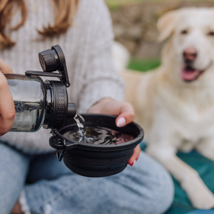 Tarana Dog Travel Kit