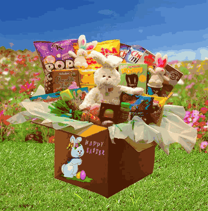 Family Deluxe Easter Care Package