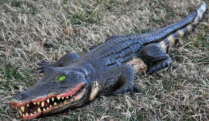 Halloween Prop Foam Filled 4' Swamp Gator