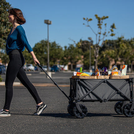 Adventure Wagon All-Terrain Portable Utility Wagon