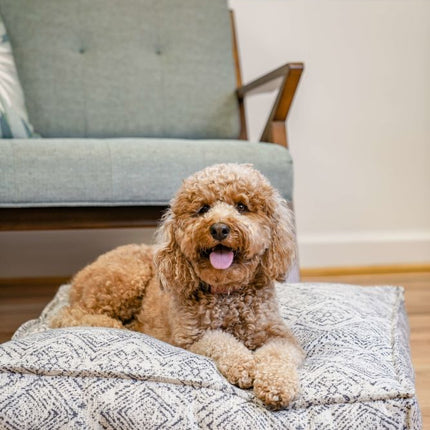 Lounger Pet Bed in Sapphire Spaniel