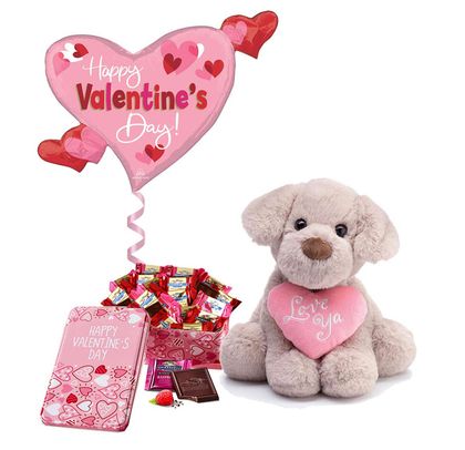 I Woof You Plush Valentine And Chocolate Gift Set - Pink