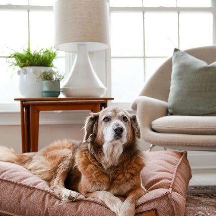 Lounger Pet Bed in Pittie Pink