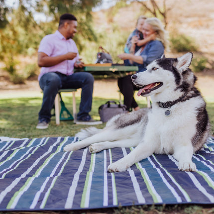 Vista Outdoor Picnic Blanket & Tote
