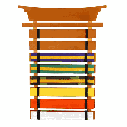 Kidkraft Karate Belt Holder