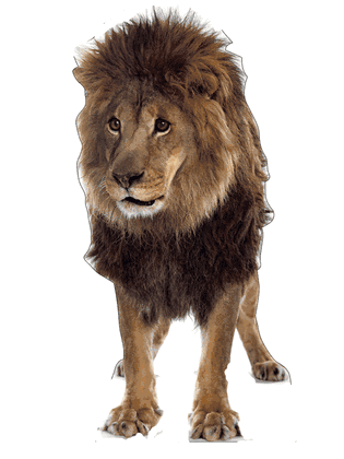 Life Size Lion Standee with Sounds