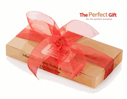 Natural Handmade Essential Oil Artisan Soap Bars Gift Set