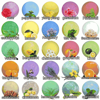 Parker Natural Bath Bombs Gift Set - 50 Pieces