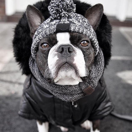 Autumn Winter Warm Knitted Pet Hats With Fluffy Ball