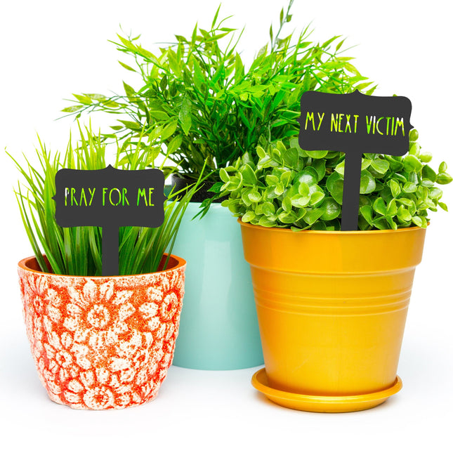 Humorous House Plant Stake 5 pack