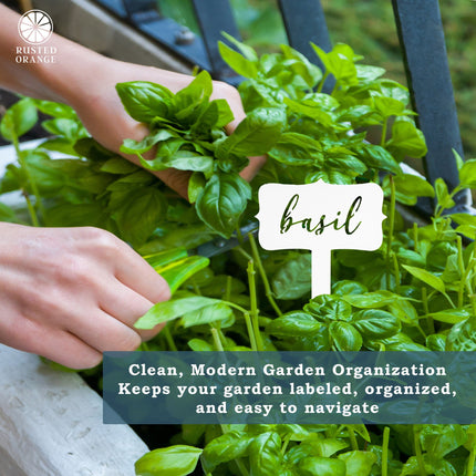 Window Garden Markers - Herb Garden Plant Identification Stakes