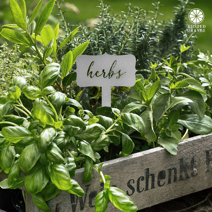 Window Garden Markers - Herb Garden Plant Identification Stakes