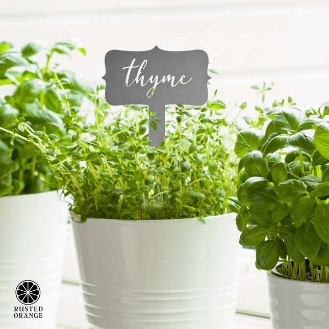 Window Garden Markers - Herb Garden Plant Identification Stakes