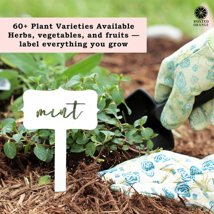 Window Garden Markers - Herb Garden Plant Identification Stakes