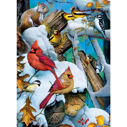 Audubon - 500 Piece Jigsaw Puzzles 3 Pack