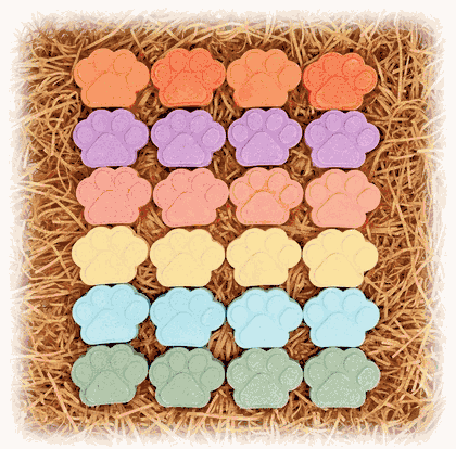 Shea Butter Animal Lovers Bath Bomb Gift Set - 24 Pieces