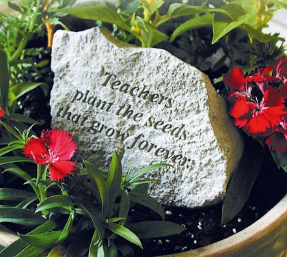 Teachers plant the seeds that grow