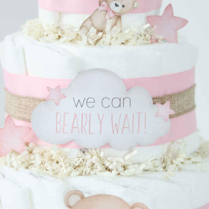 Teddy Bear Diaper Cake Collection - Pink
