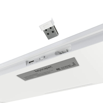 University of Arkansas Fayetteville Razorbacks Stripe Curved Wireless Keyboard